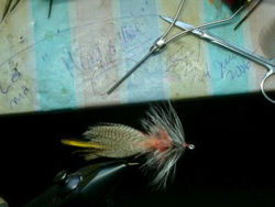 Picture of Mimi a Moi