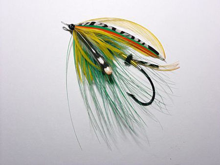 Picture of Damian's Fly