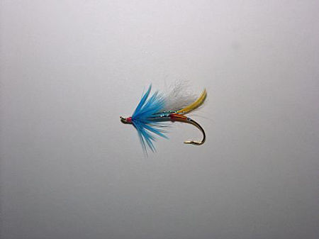 Picture of Bill's Fly