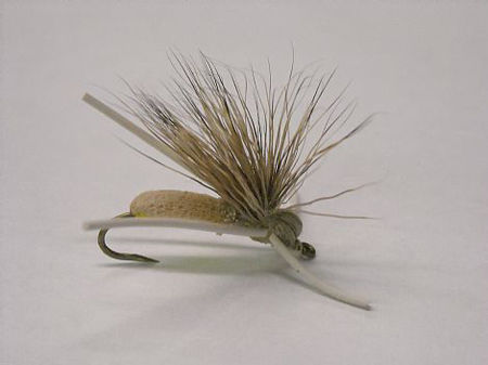 Picture of Hopper Caddis