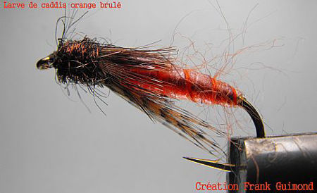 Image de Larve de caddis orange brulé