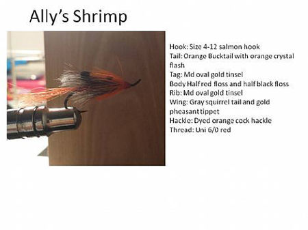 Picture of Ally’s Shrimp