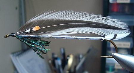 Picture of Silver Darter