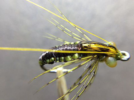 Picture of Caddis Pupa