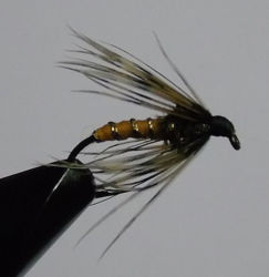 Picture of Soft Hackle Orange