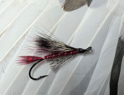 Picture of SDPicasse