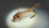 Picture of PT Nymph
